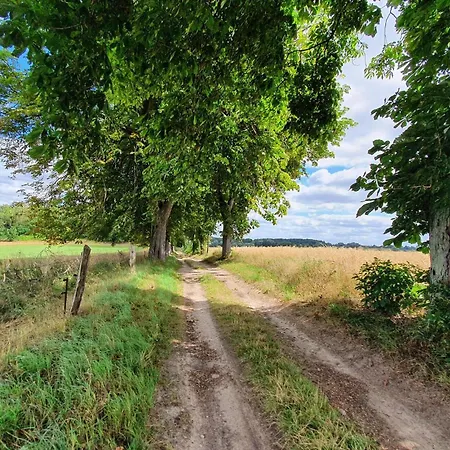 Lägenhet Ferienwohnung Grabowhoefe *